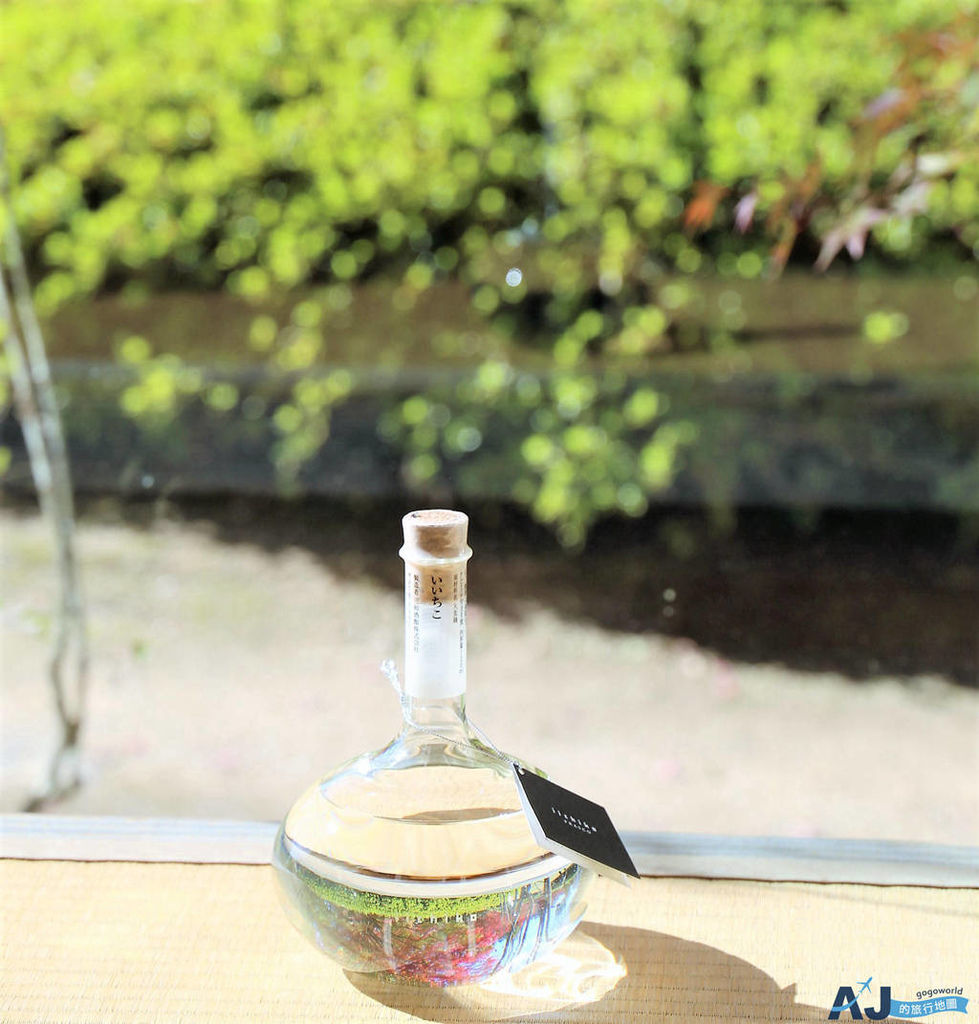 （九州大分景點）日田蒸留所 iichiko玉極閣 超人氣麥焼酎 酒瓶設計好看 送禮或自己喝都很不錯