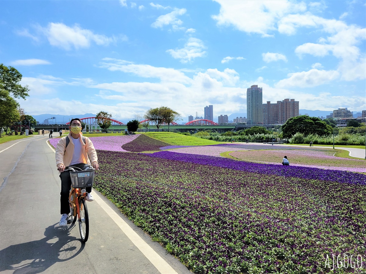 古亭河濱公園紫色花海 永福橋旁的台北免費景點 千坪河濱花毯地景