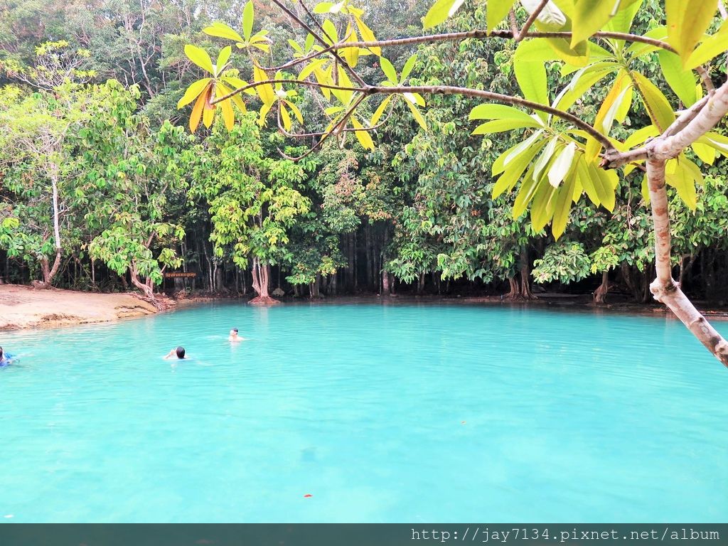 （泰國喀比遊記）The Emerald Pool 水晶池、藍湖 隱身帕邦匡山野生保育區內的秘境景點