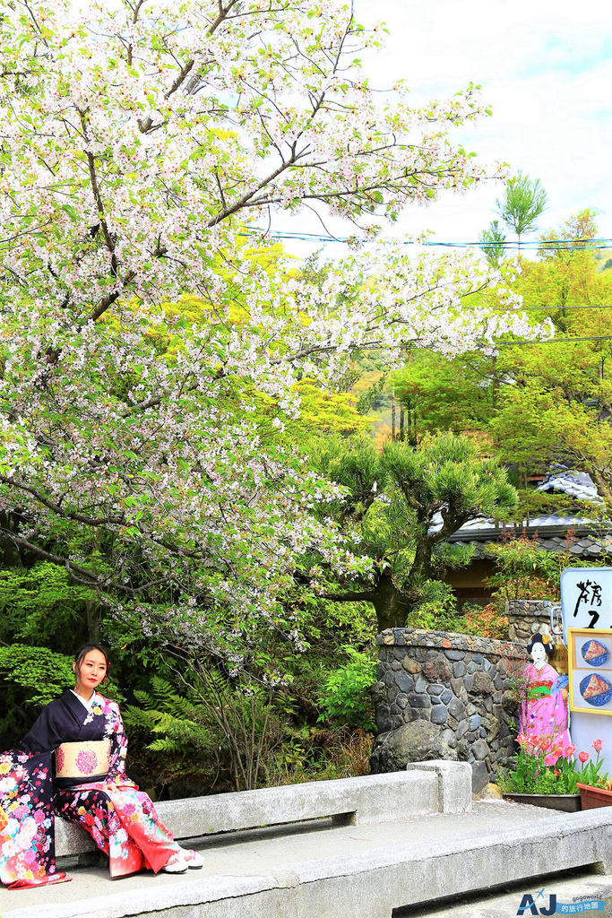 哲學之道 京都賞櫻散步道 日本道路百選 可從蹴上鐵道出發 櫻花盛開時間分享