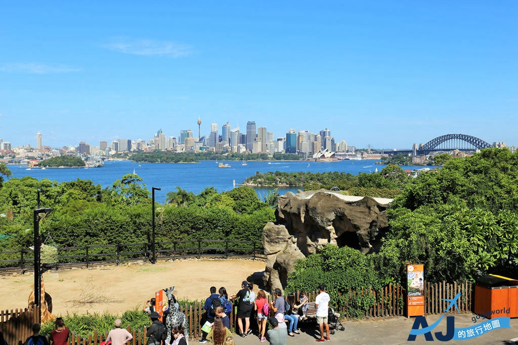 （雪梨景點）塔龍加動物園 Taronga Zoo 雪梨百年動物園 搭渡輪遠眺雪梨城市天際線 含交通、營業時間、便宜購票
